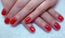 Gel - lak